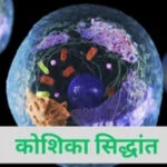 कोशिका क्या है और उनके सिद्धांत क्या है?