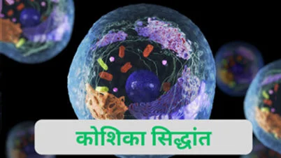 कोशिका क्या है और उनके सिद्धांत क्या है?