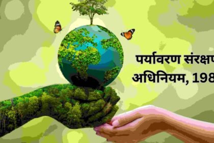 पर्यावरण संरक्षण अधिनियम 1986: मुख्य प्रावधान और महत्व पर्यावरण संरक्षण अधिनियम 1986: मुख्य प्रावधान और महत्व