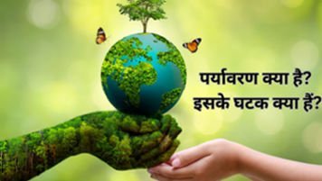पर्यावरण क्या है? इसके घटक क्या हैं? पर्यावरण क्या है? इसके घटक क्या हैं?