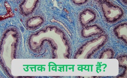 उत्तक विज्ञान क्या हैं? इसके कितने प्रकार हैं? उत्तक विज्ञान क्या हैं? इसके कितने प्रकार हैं?