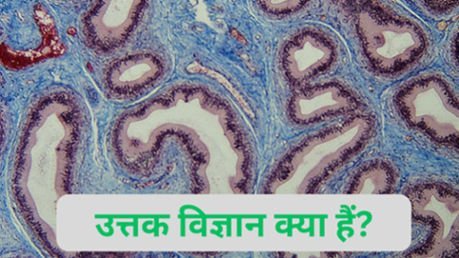 उत्तक विज्ञान क्या हैं? इसके कितने प्रकार हैं? उत्तक विज्ञान क्या हैं? इसके कितने प्रकार हैं?