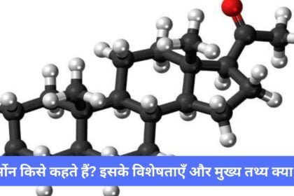हार्मोन किसे कहते हैं? इसके विशेषताएँ और मुख्य तथ्य क्या है? हार्मोन किसे कहते हैं? इसके विशेषताएँ और मुख्य तथ्य क्या है?