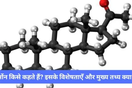 हार्मोन किसे कहते हैं? इसके विशेषताएँ और मुख्य तथ्य क्या है?