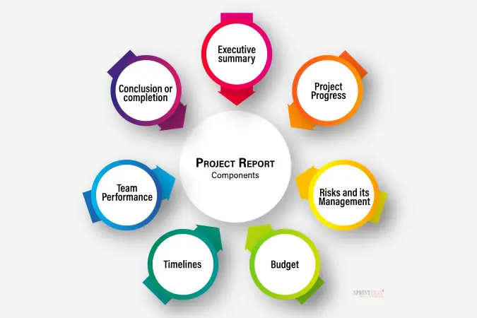 How an entrepreneur prepares an ideal project report