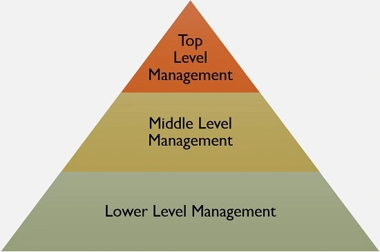 management